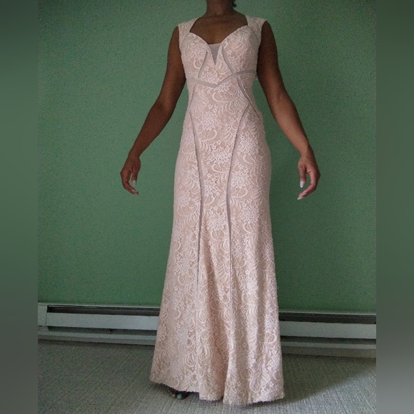 Aqua Dresses & Skirts - Women's Aqua beige illusion inset lace gown